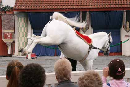 A Flying Kick